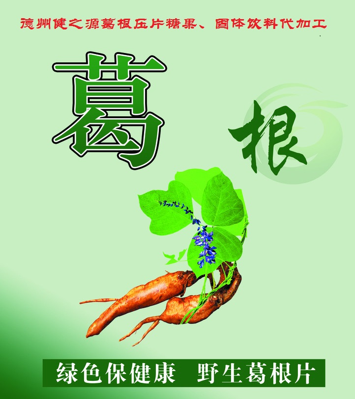 葛根，男女通用的人體調(diào)理專家