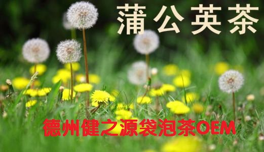 蒲公英茶，今天您喝了嗎？