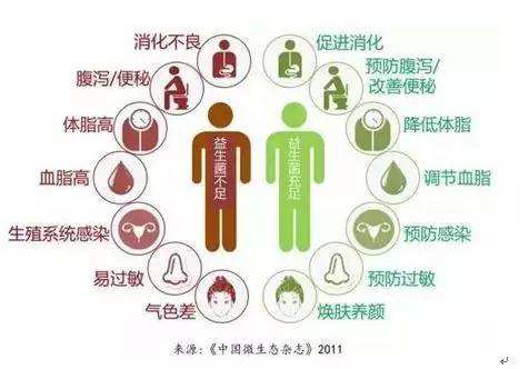夏天腸胃問題頻發(fā)，您應(yīng)該用益生菌了