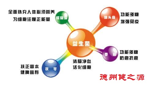 夏天腸胃問題頻發(fā)，您應(yīng)該用益生菌了